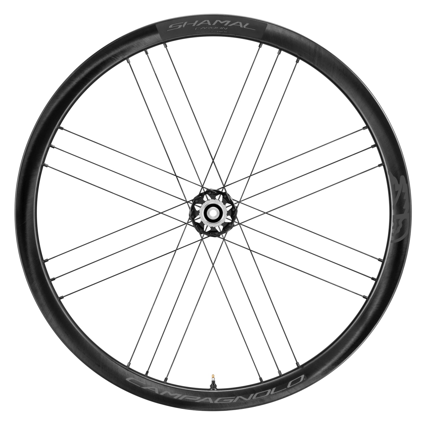 CAMPAGNOLO SHAMAL C21 CARBON DB WHEELSET